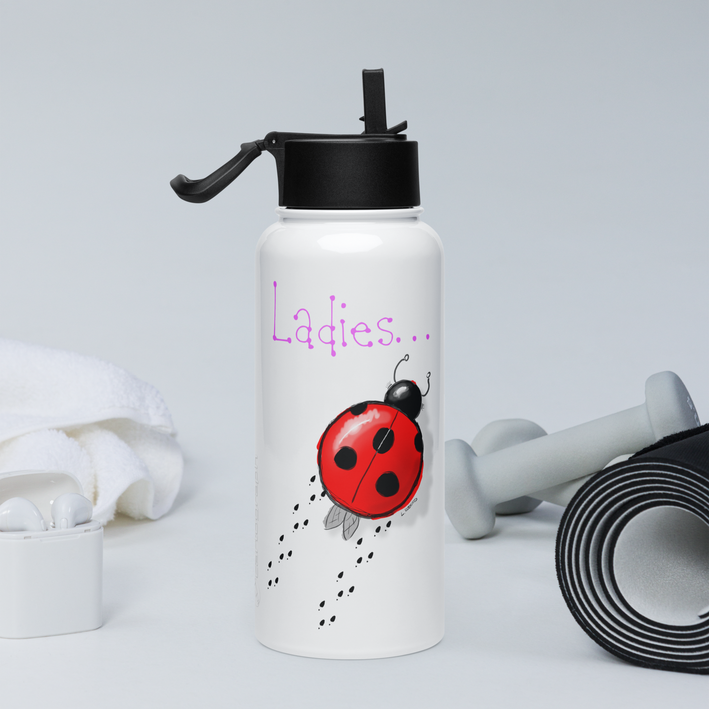 Loose Style Series - Ladybug - Stainless Steel Water Bottle With a Straw Lid