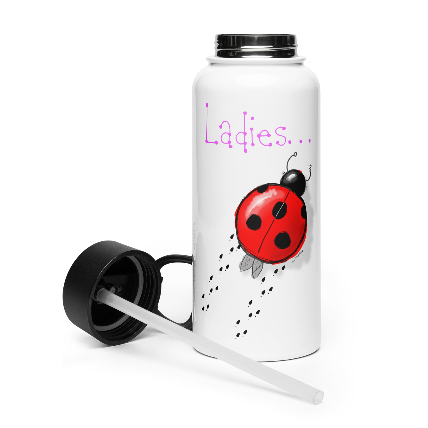 Loose Style Series - Ladybug - Stainless Steel Water Bottle With a Straw Lid